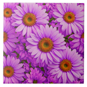 Elegante donkerroze magenta bloemenmadeliefjes tegeltje