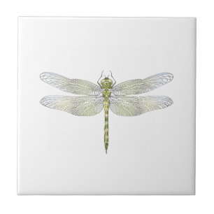 Elegante Dragonfly tekening Tegeltje
