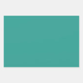 Elegante DSW cadeauverpakkingen Inpakpapier Vel (Voorkant 2)