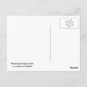 Elegante Duiven Briefkaart (Achterkant)