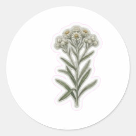 Elegante Edelweiss Bloem Kunst - Zeldzame Bergbloe Ronde Sticker