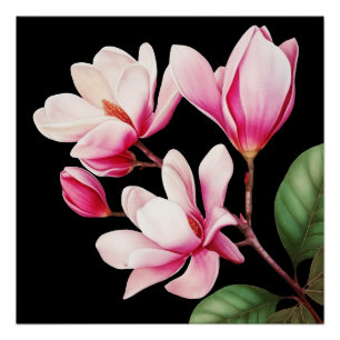 Elegante Eenvoudige Roze Bloem Bloemige Kunst Perfect Poster