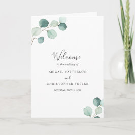 Elegante Eenvoudige Salie Groene Eucalyptus Bruilo Programma