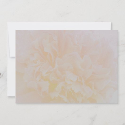 Elegante eenvoudige stoffige pioen bloemige save t save the date (Achterkant)