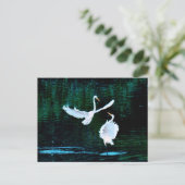 Elegante Egrets in Dance Briefkaart (Staand voorkant)