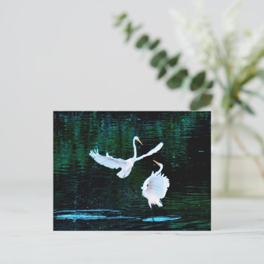 Elegante Egrets in Dance Briefkaart (Staand voorkant)