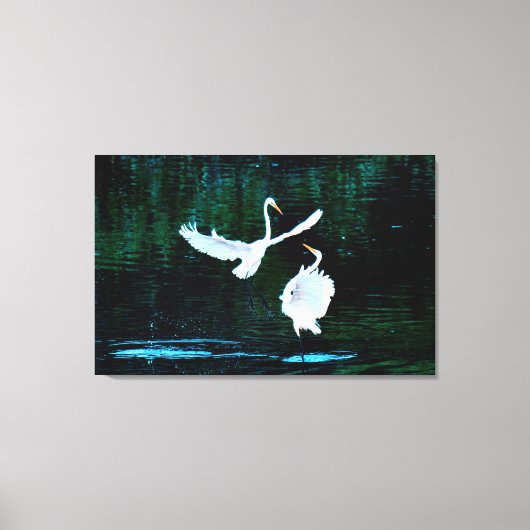 Elegante Egrets in Dance Canvas Afdruk (Voorkant)