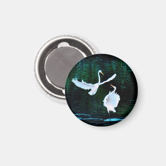 Elegante Egrets in Dance Magneet (Voorkant / Achterkant)