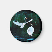 Elegante Egrets in Dance Magneet (Voorkant)