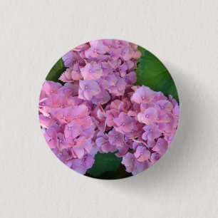 Elegante en rustieke hortensia Hydrangea macrophyl Ronde Button 3,2 Cm