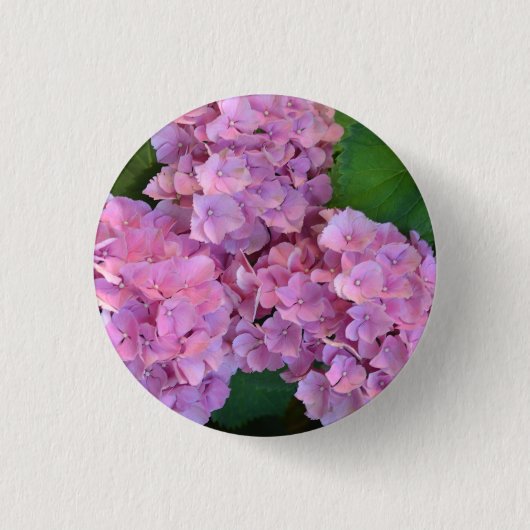 Elegante en rustieke hortensia Hydrangea macrophyl Ronde Button 3,2 Cm (Voorkant)