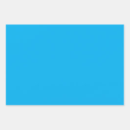 Elegante ENC Gift Wrapping Sheets Inpakpapier Vel