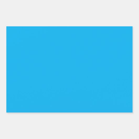 Elegante ENC Gift Wrapping Sheets Inpakpapier Vel (Voorkant)