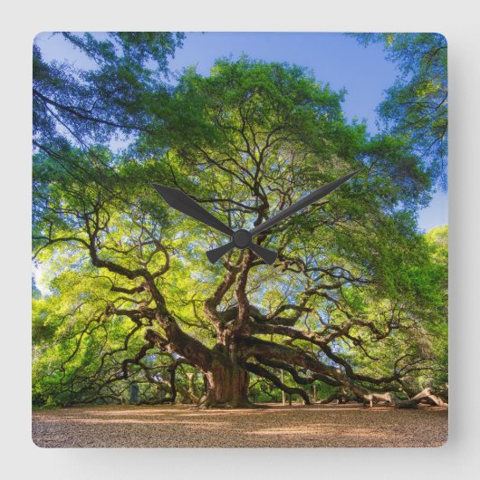 Elegante Engel Eiken Boom Vierkante Klok (Voorkant)