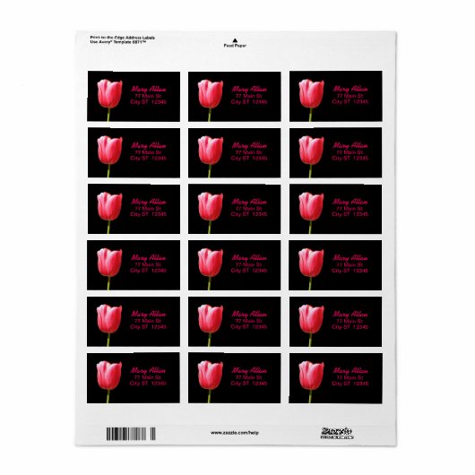 Elegante Enkele Tulp Bloom Etiket (Full Sheet)