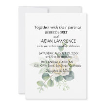 Elegante eucalyptus botanische foto