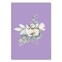 Elegante eucalyptus botanische zomer kaart