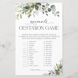Elegante Eucalyptus Dieren Draagtijd Spel