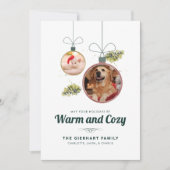 Elegante Familie Huisdier Foto's Kerstmis Feestdagenkaart (Voorkant)