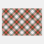 Elegante Feestelijke Kerst Plaid en Holly Inpakpapier Vel (Voorkant 3)
