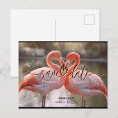 Elegante Flamingo Liefde Bewaar de Datum Sjabloon Briefkaart (Voorkant / Achterkant)