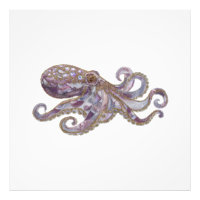 Elegante Gebeadede Octopus Kunst Illustratie