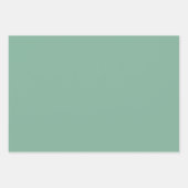 Elegante gedempte salie groen Minimalistisch en ch Inpakpapier Vel (Voorkant 3)