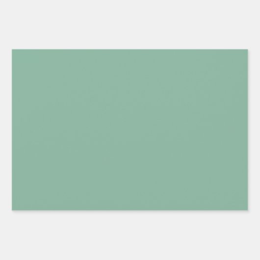 Elegante gedempte salie groen Minimalistisch en ch Inpakpapier Vel (Voorkant 3)