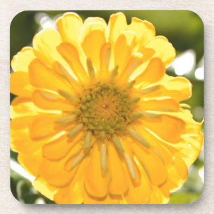 Elegante gele bloemen daisy bier onderzetter