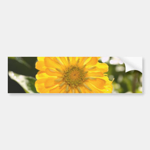 Elegante gele bloemen daisy bumpersticker