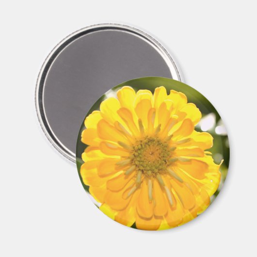 Elegante gele bloemen daisy magneet (Voorkant / Achterkant)