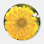 Elegante gele bloemen daisy magneet (Voorkant)