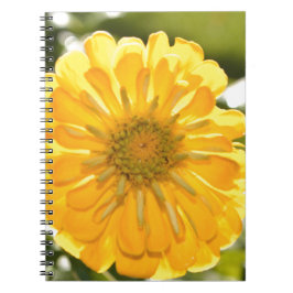Elegante gele bloemen daisy notitieboek