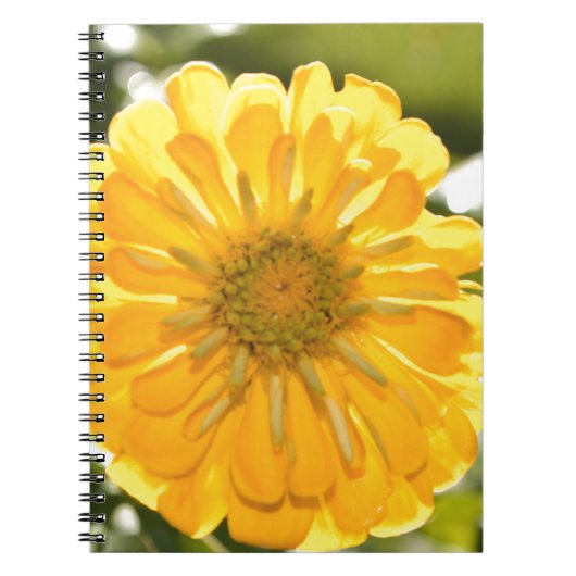 Elegante gele bloemen daisy notitieboek (Voorkant)