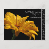 Elegante gele Gerber Daisy bruiloft uitnodiging (Achterkant)