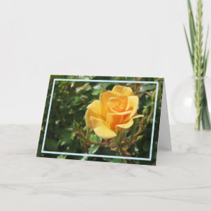 Elegante Gele Roos Bloem Foto Stijlvol Frame Kaart