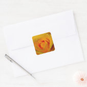 Elegante gele rozen vierkante sticker (Envelop)