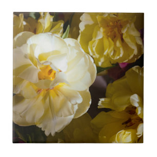 Elegante Gele Tulp Pioen Roos Bloem, Luxe Bloemstu Tegeltje