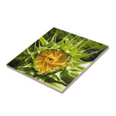 Elegante gele zonnebloem foto tegeltje (Zijkant)