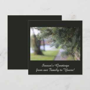 Elegante gepersonaliseerde groenblijvende takken d feestdagenkaart