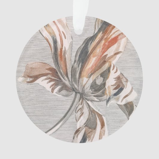 Elegante gestreepte tulp antieke bloem ets. ornament (voorkant)