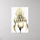 Elegante Gouden Damesorchidee Botanisch  Canvas Afdruk (Voorkant)