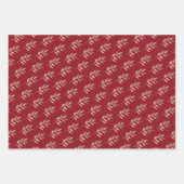 Elegante gouden tak rode en groene kerst inpakpapier vel (Voorkant)