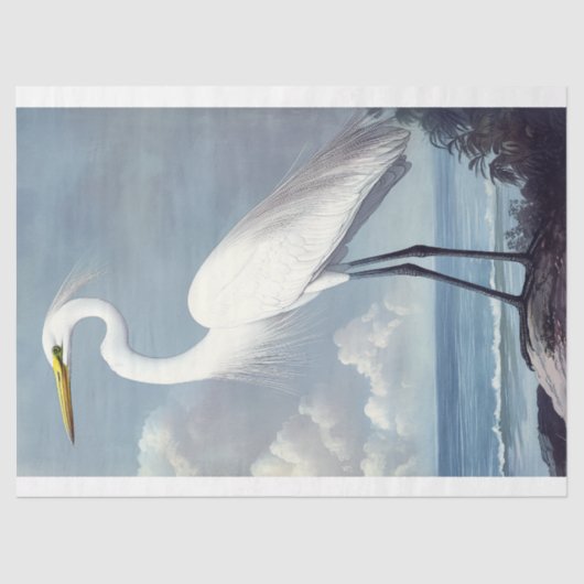 Elegante Great Egret Waterverf Decoupage Vogelkuns Tissuepapier (Voorkant)