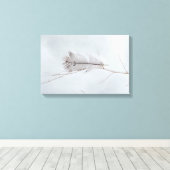 Elegante grijze gevlekte veer op tak canvas afdruk (Insitu (Houten vloer))