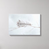 Elegante grijze gevlekte veer op tak canvas afdruk (Voorkant)