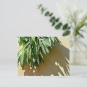 Elegante groene botanische bladeren Fresh-cut krui Briefkaart (Staand voorkant)
