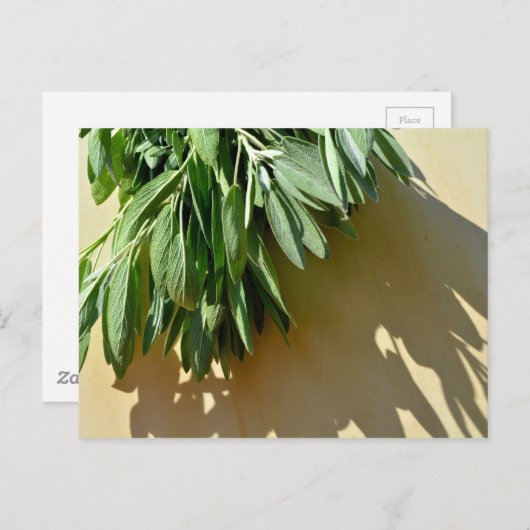 Elegante groene botanische bladeren Fresh-cut krui Briefkaart (Voorkant / Achterkant)