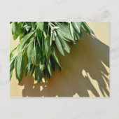 Elegante groene botanische bladeren Fresh-cut krui Briefkaart (Voorkant)