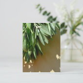 Elegante groene botanische bladeren Fresh-cut krui Briefkaart (Staand voorkant)